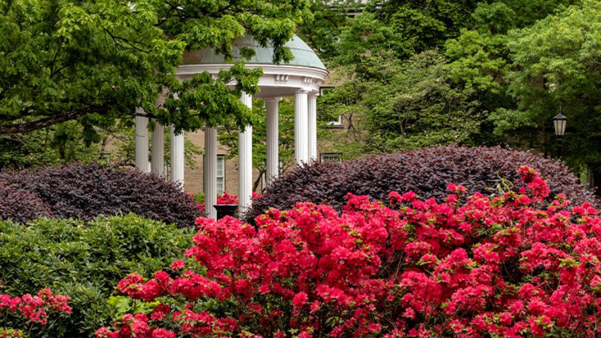 Old Well on the campus of UNC-Chapel Hill with springtime flowers of purple, red and green colors blooming in the foreground.